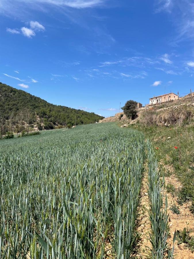 Masia La Perera Morella Bagian luar foto